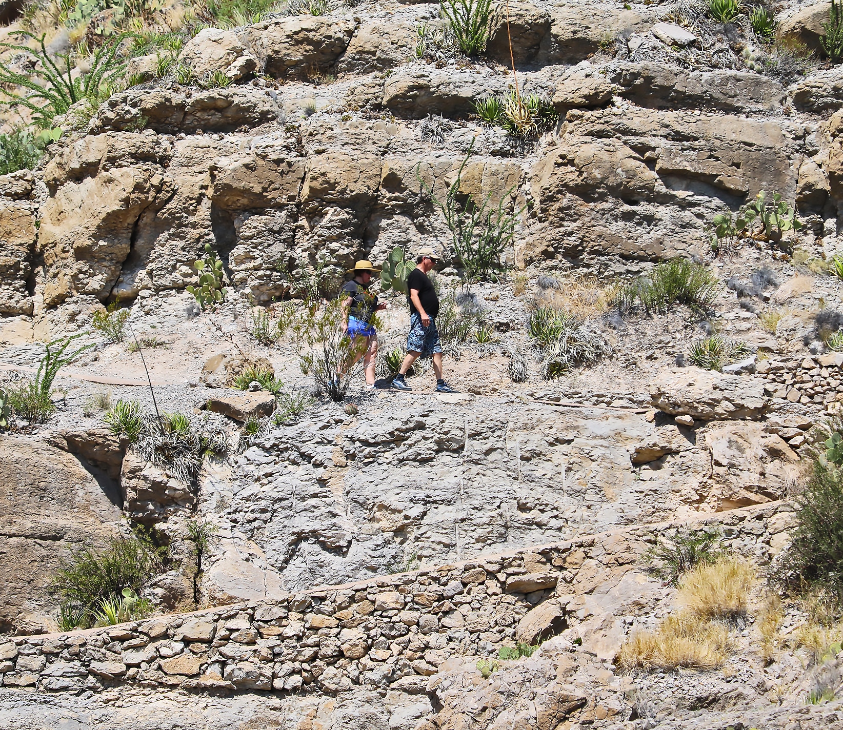 Hiking